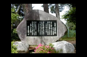 ���β���