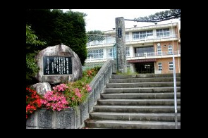 �ع�����