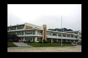 �ع�����