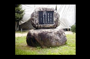 ���β���