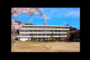 �ع�����