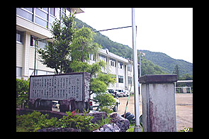 �ع�����