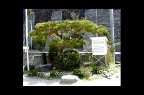 �ع�����