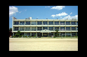 �ع�����