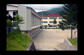 �ع�����