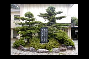 ���β���