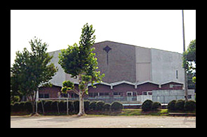 �ع�����