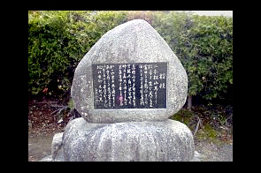 ���β���