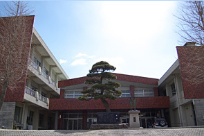 �ع�����