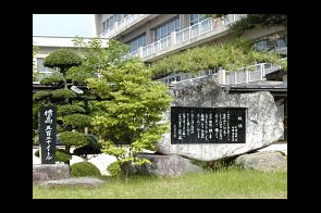 ���β���