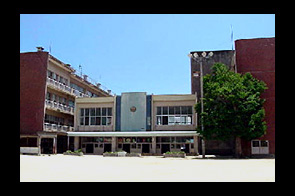 �ع�����