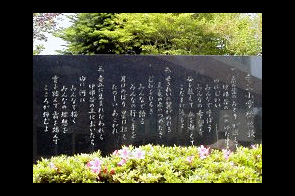 ���β���