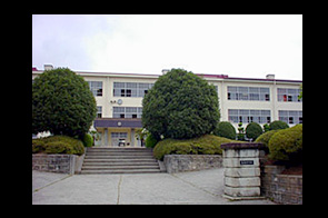 �ع�����