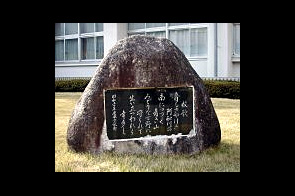 ���β���