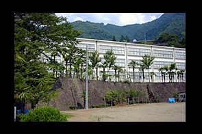 �ع�����