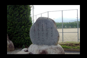 ���β���