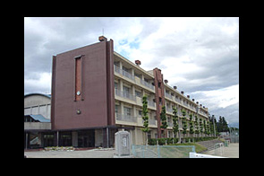 �ع�����