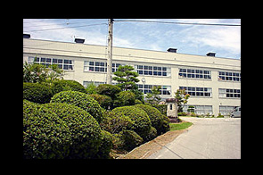 �ع�����