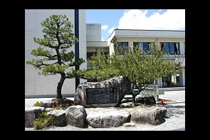 ���β���